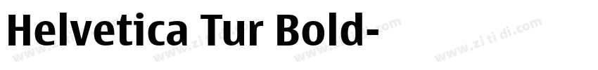 Helvetica Tur Bold字体转换